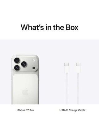 iPhone 17 Pro 512 GB (eSIM only) Silver 5G With FaceTime - Middle East Version - view 4